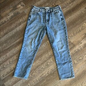 Pacsun Classic High-rise Mom Jeans